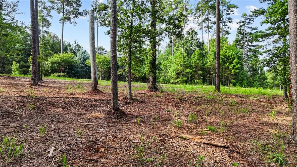 Property image 5 at 532 Great Oak Way, Seneca, SC 29672