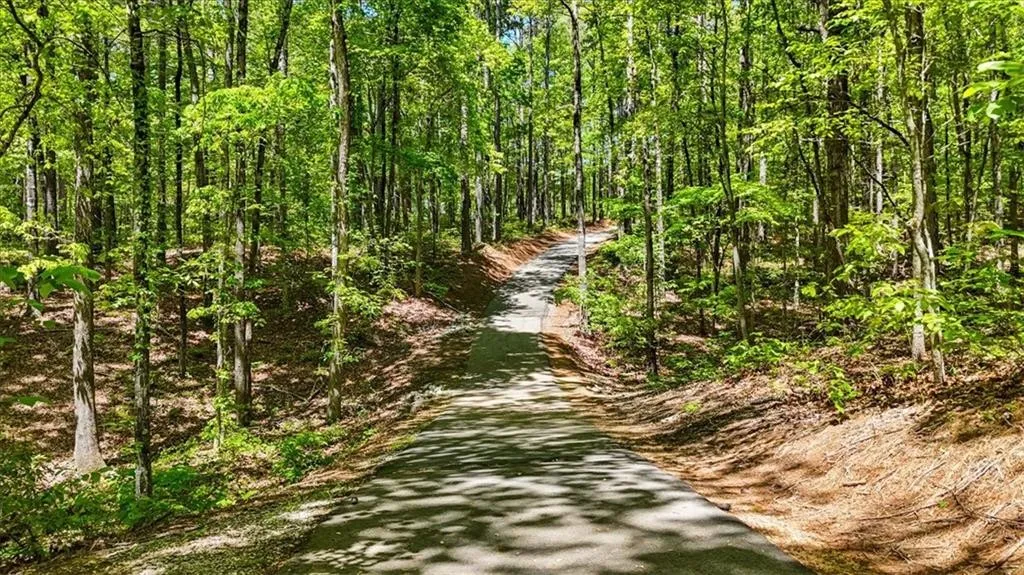 Property image 4 at Lot 216 Highridge Drive, Seneca, SC 29672