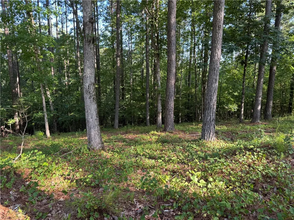 Property image 2 at 527 Brookgreen Trail, Salem, SC 29676