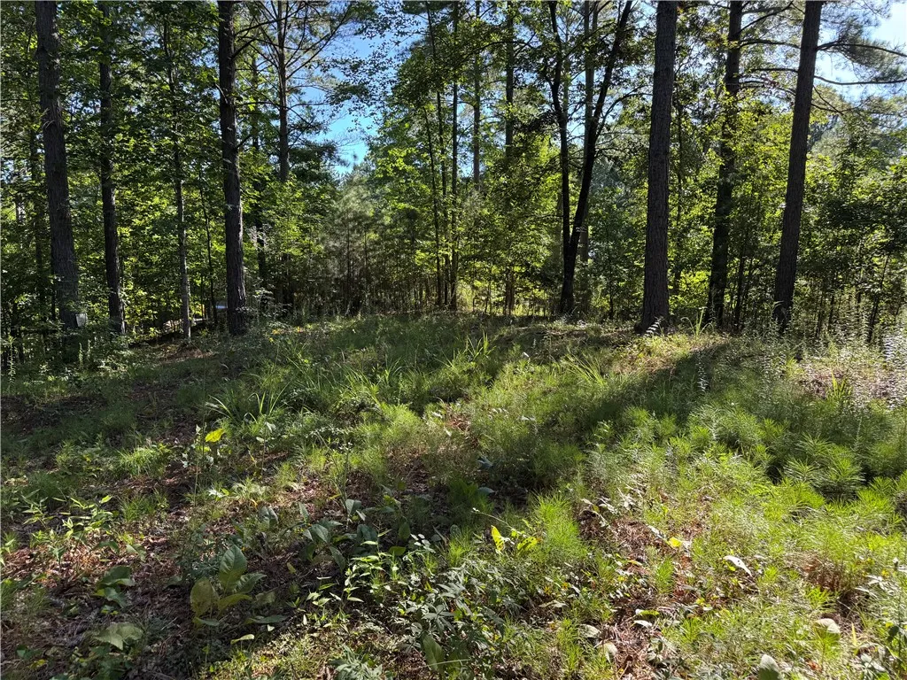 Property image 3 at 527 Brookgreen Trail, Salem, SC 29676