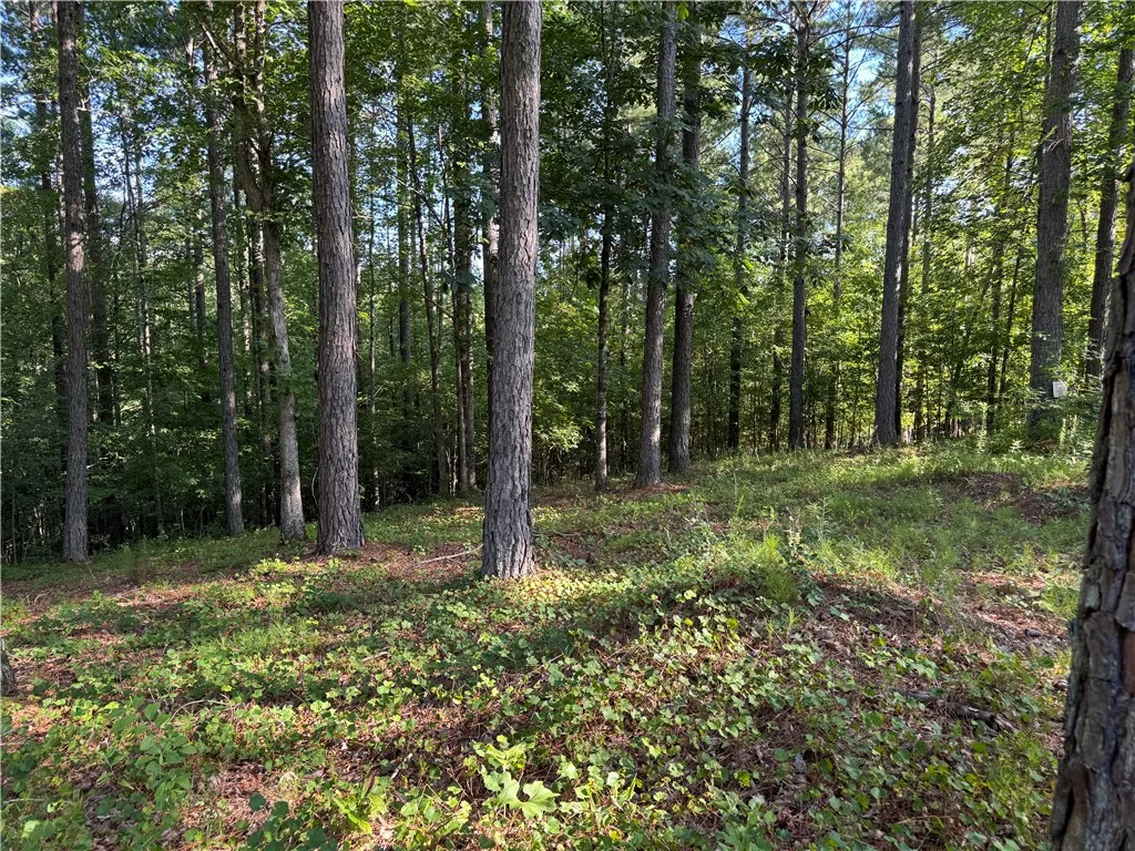 Property image 4 at 527 Brookgreen Trail, Salem, SC 29676