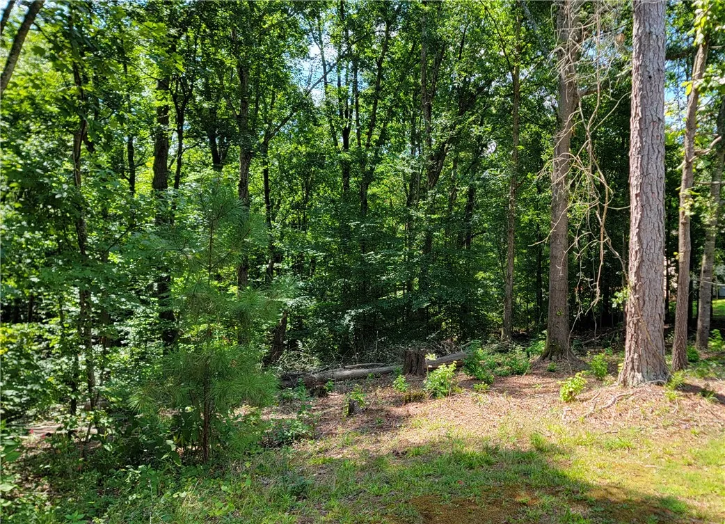 Property image 2 at 00 Mohawk Path Drive, Seneca, SC 29678