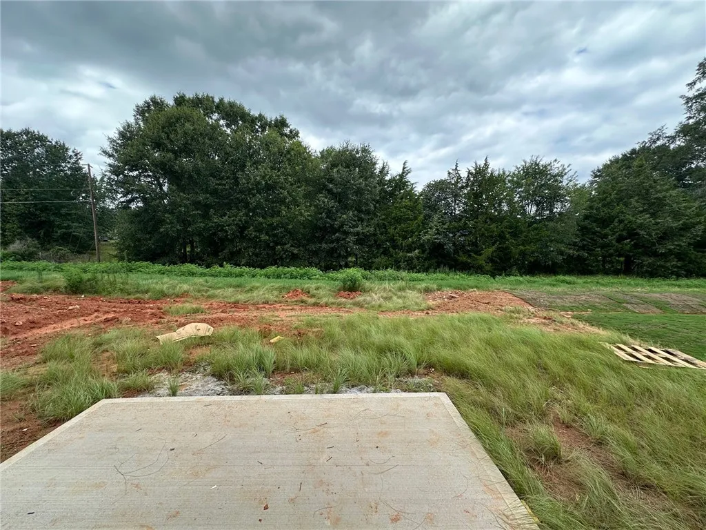 Property image 4 at 233 Green Pasture Road, Fountain Inn, SC 29644
