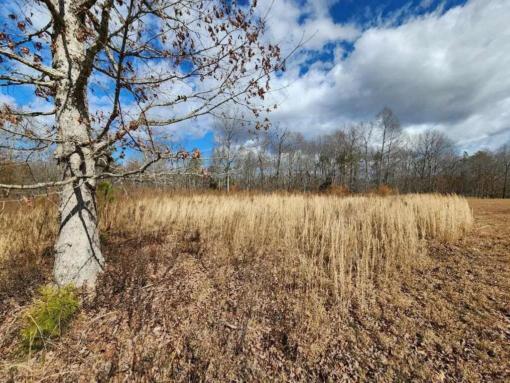 Lot 18 Paramount Drive