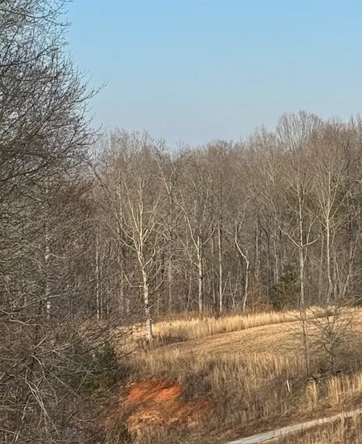 Property image 5 at Lot 18 Paramount Drive, Seneca, SC 29678