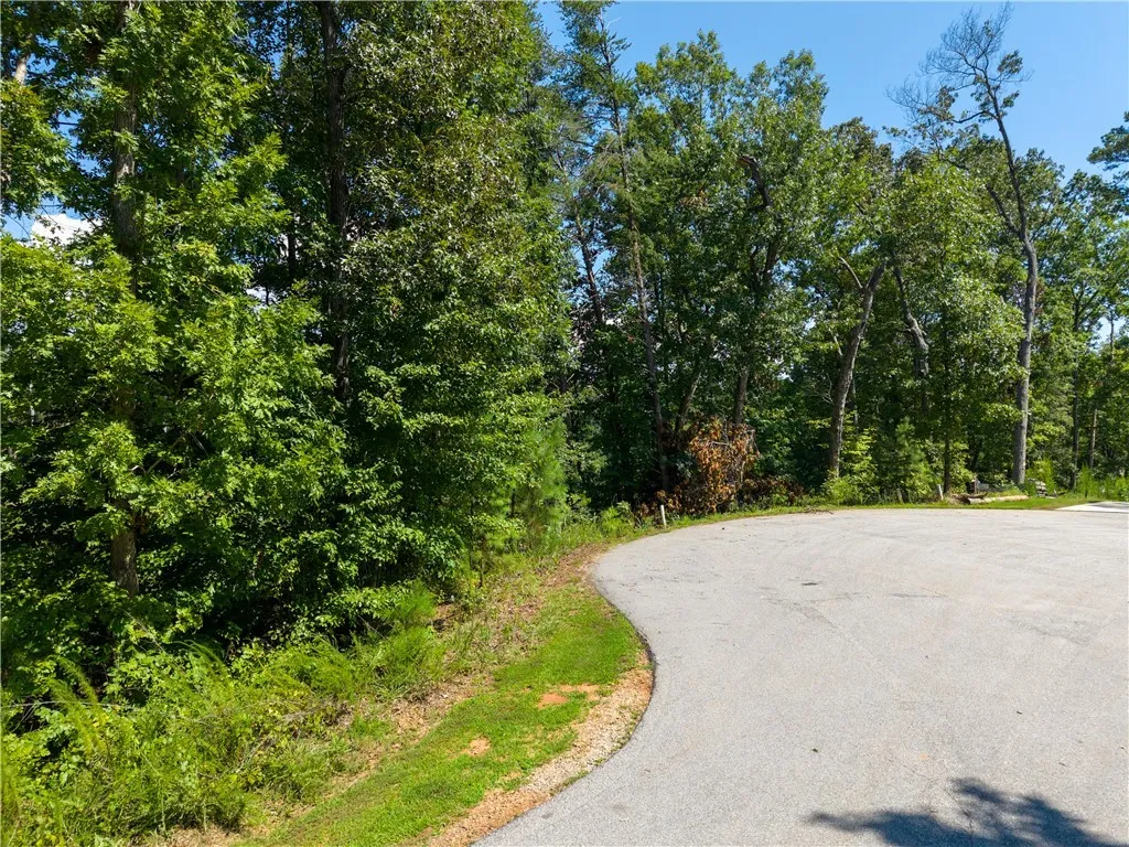 Property image 2 at Lot 61 Hardwood Pointe Drive, West Union, SC 29696