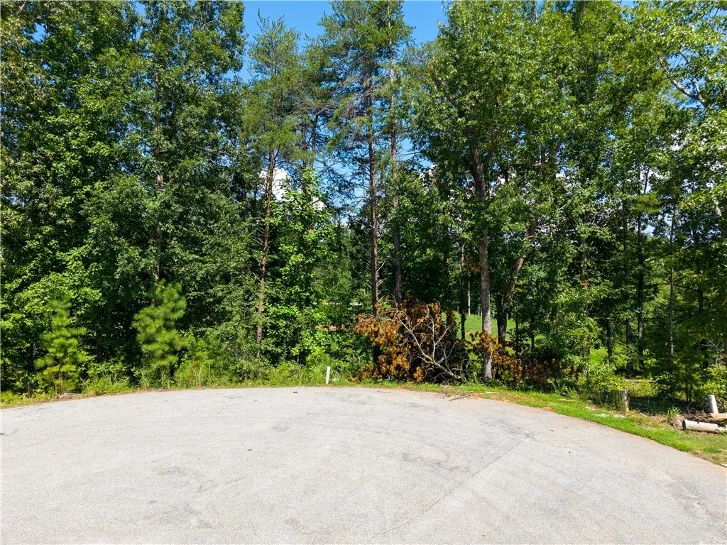 Property image 3 at Lot 61 Hardwood Pointe Drive, West Union, SC 29696