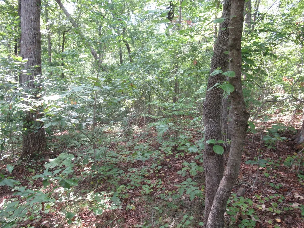 Property image 3 at 706 Scharlin Drive, Pickens, SC 29671