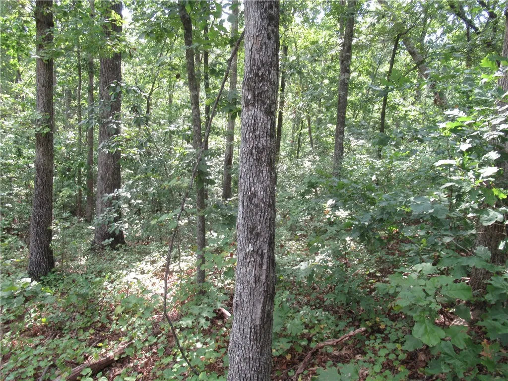Property image 4 at 706 Scharlin Drive, Pickens, SC 29671