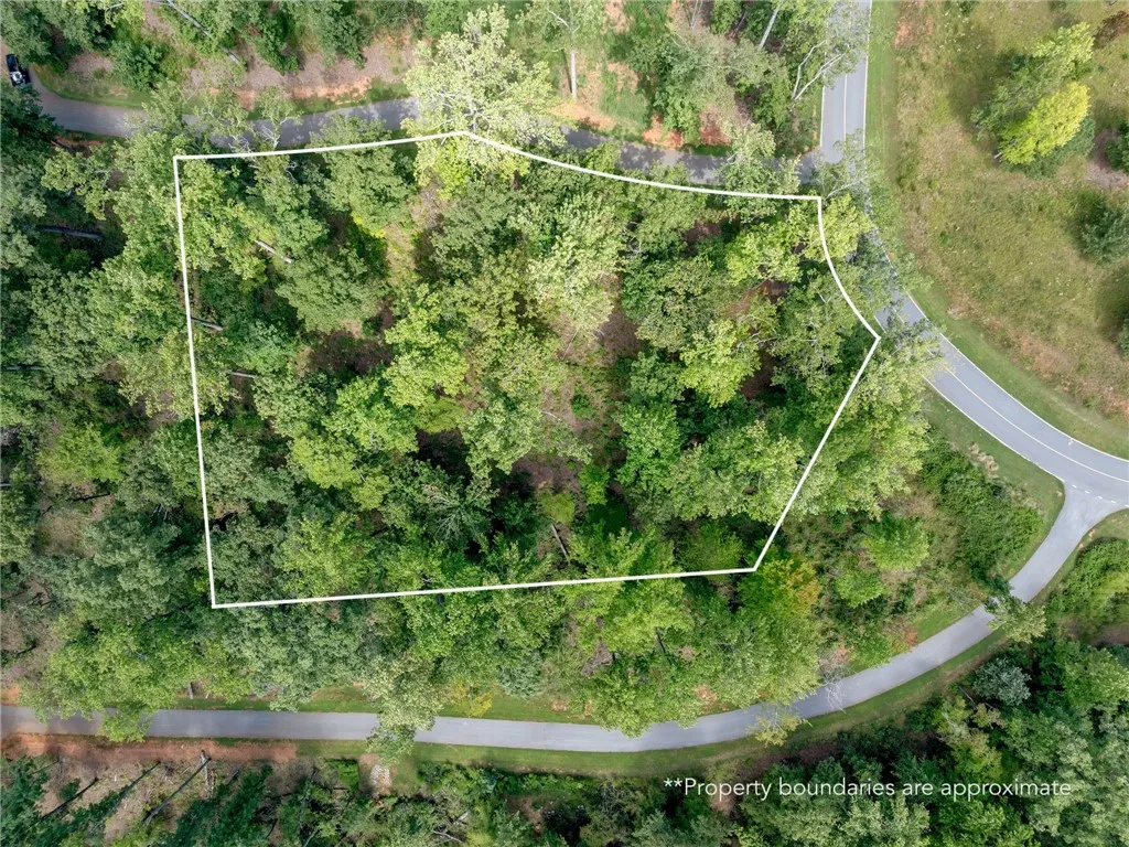 119 Sandy Hollow Court