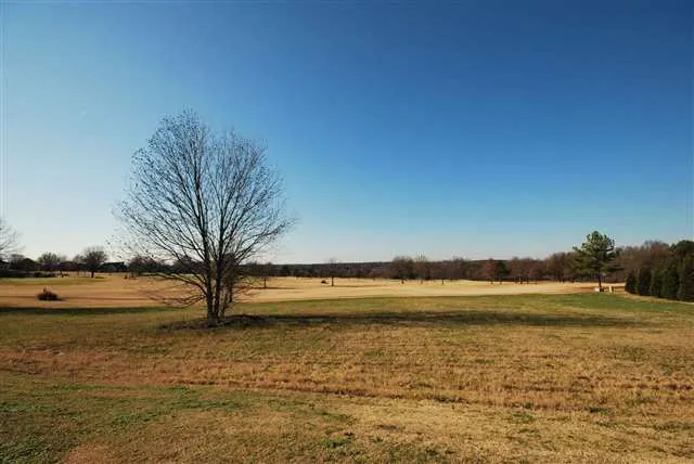 Property image 1 at 217 Sandy Run, Greer, SC 29651
