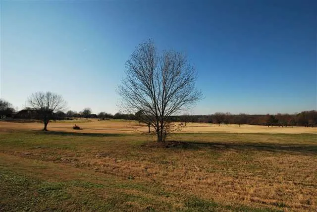 Property image 3 at 217 Sandy Run, Greer, SC 29651