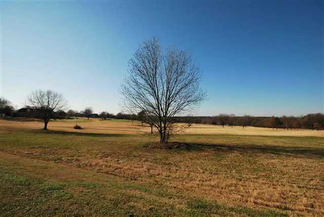 Property image 4 at 217 Sandy Run, Greer, SC 29651