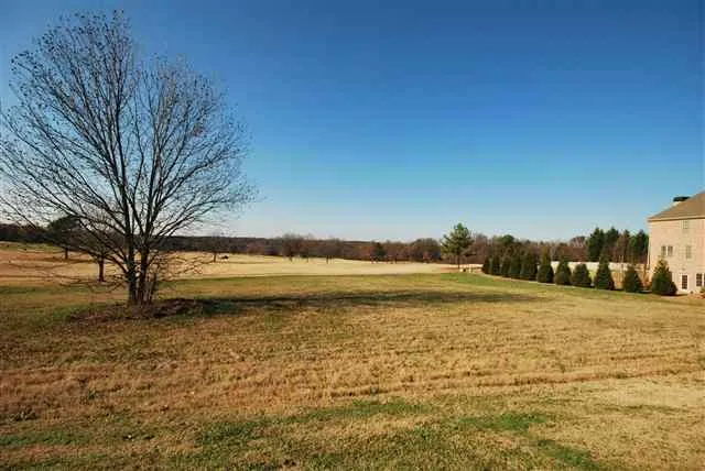 Property image 5 at 217 Sandy Run, Greer, SC 29651