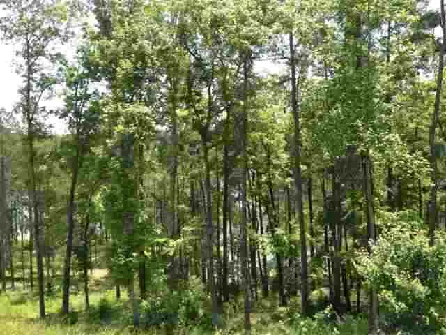 Property image 2 at Lot 16 Four Pointes, Salem, SC 29676