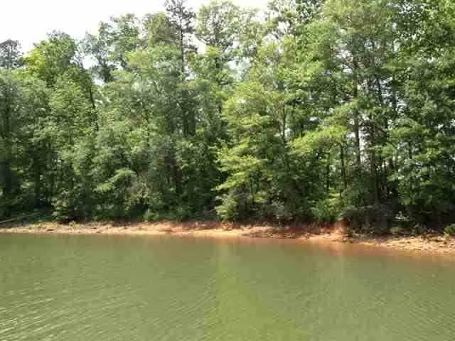 Property image 3 at Lot 16 Four Pointes, Salem, SC 29676