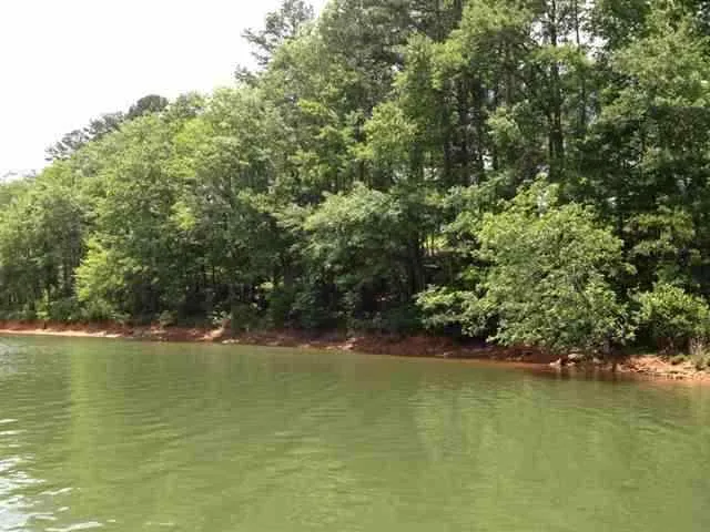 Property image 5 at Lot 16 Four Pointes, Salem, SC 29676