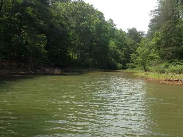 Property image 5 at Lot 29 Four Pointes, Salem, SC 29676