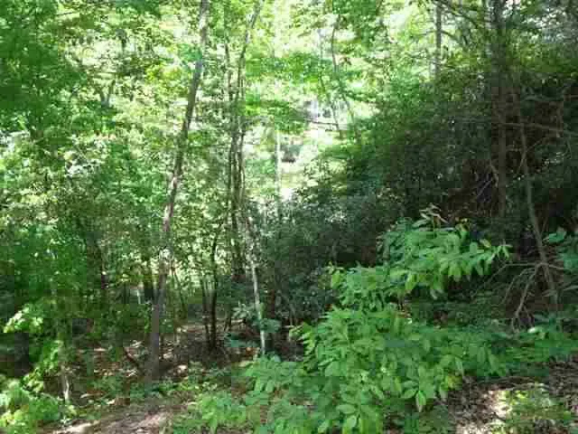Property image 5 at Lot 7 Four Pointes, Salem, SC 29676