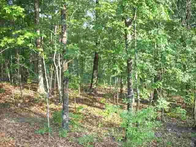 Property image 3 at 120 CROWNE HILL Way, Marietta, SC 29661