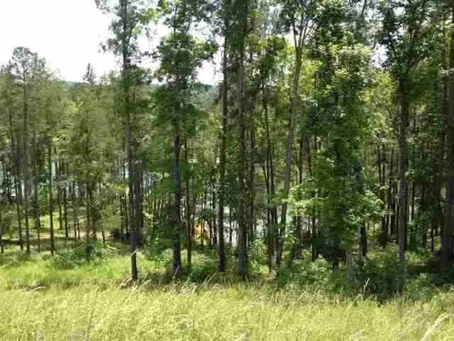 Property image 3 at Lot 12 Four Pointes, Salem, SC 29676