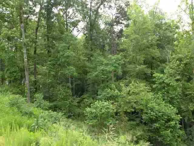 Property image 4 at Lot 12 Four Pointes, Salem, SC 29676