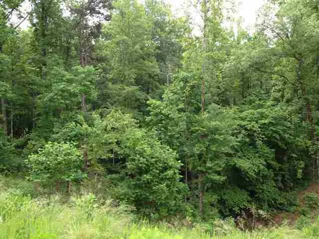 Property image 5 at Lot 12 Four Pointes, Salem, SC 29676