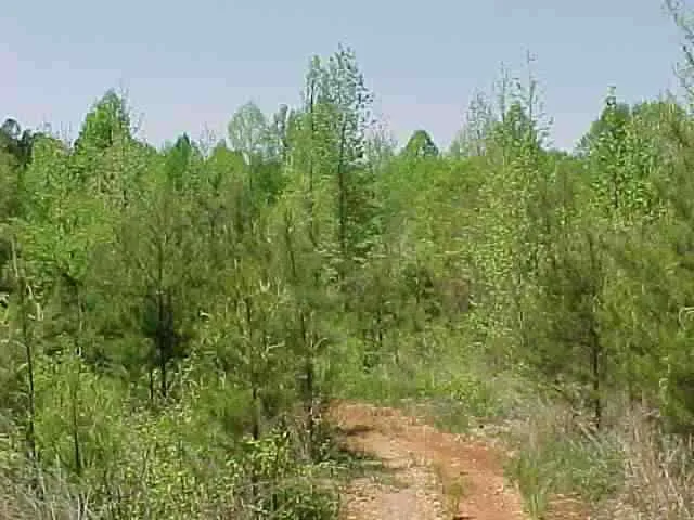 Property image 1 at 000 Sunset Drive, Easley, SC 29642