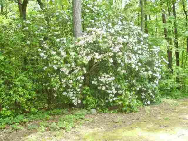 Property image 5 at 308 Valley Drive, Walhalla, SC 29691