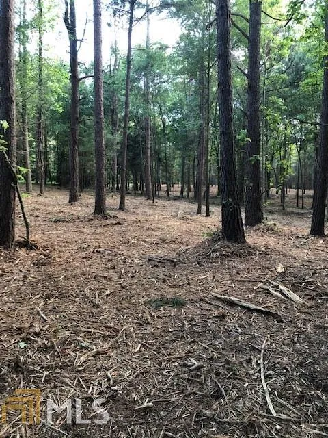Property image 3 at 1008 Smyzer Road, Townville, SC 29689