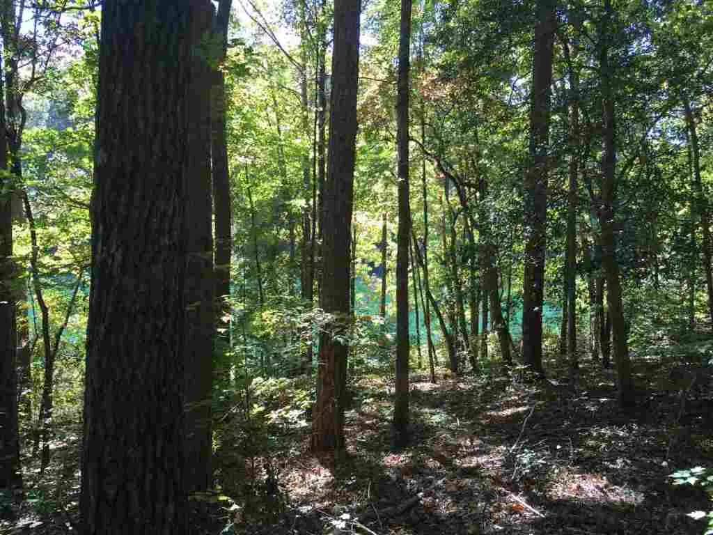 Property image 2 at 550 Riverstone Drive, Salem, SC 29676