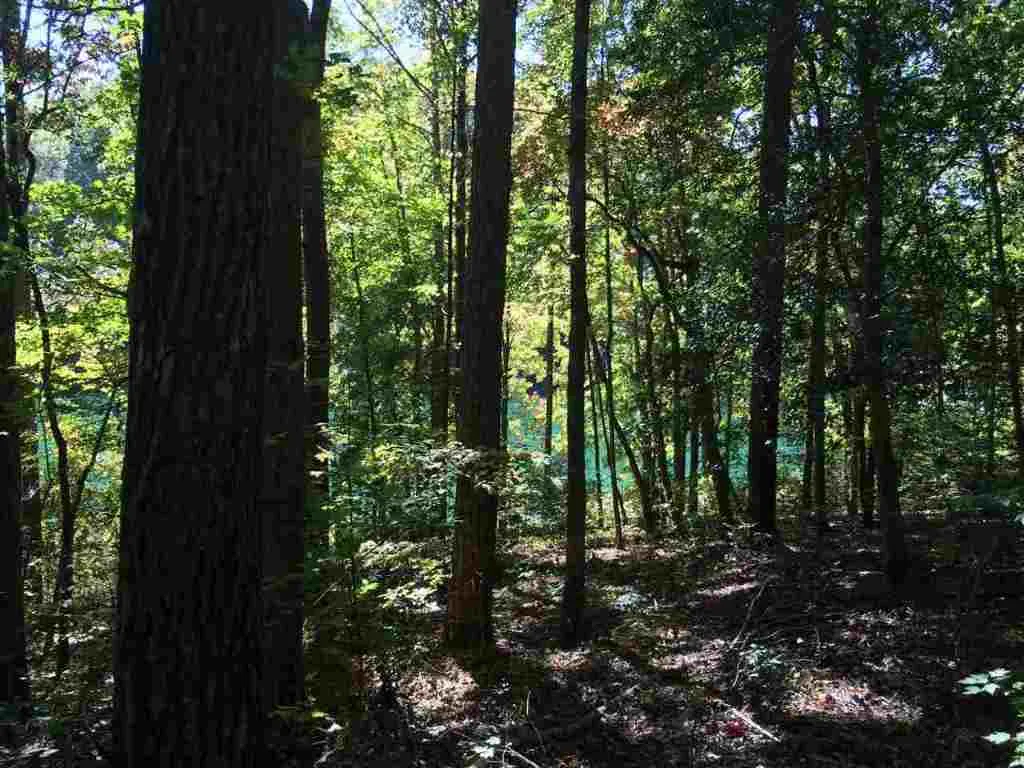 Property image 3 at 550 Riverstone Drive, Salem, SC 29676