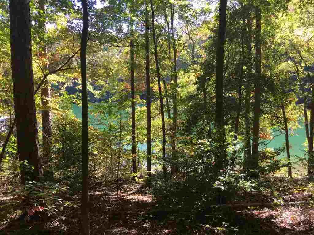 Property image 5 at 550 Riverstone Drive, Salem, SC 29676