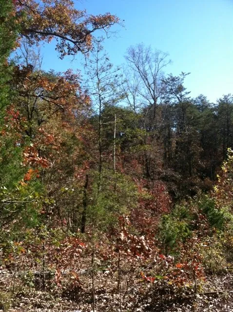 Property image 2 at 113 Mill Pond Road, Easley, SC 29642