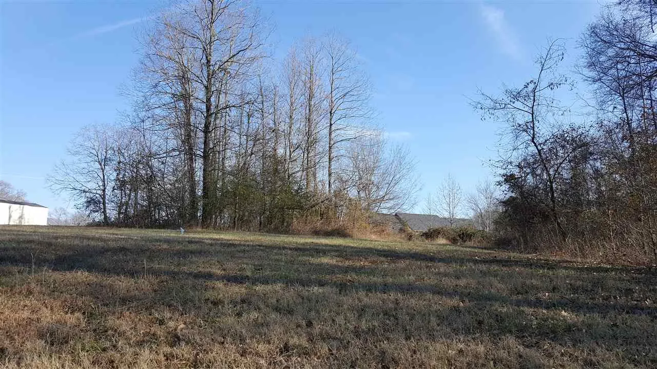 Property image 4 at 703 Shaded Acre Court, Pelzer, SC 29669