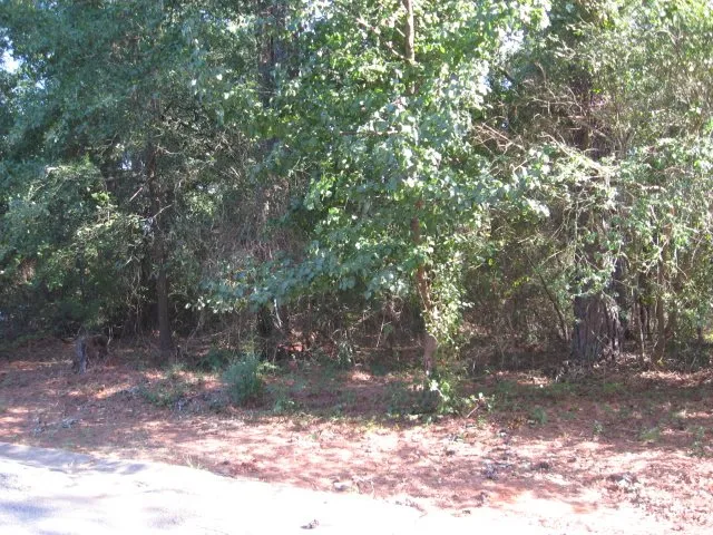 Property image 1 at Lot 111 Laurel Ridge Road, Anderson, SC 29621