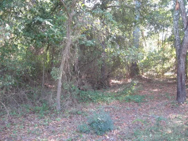Property image 2 at Lot 111 Laurel Ridge Road, Anderson, SC 29621
