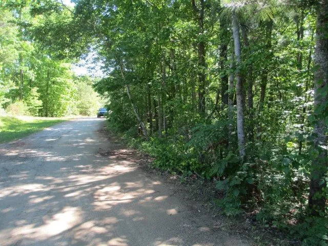 000 Indian Trail