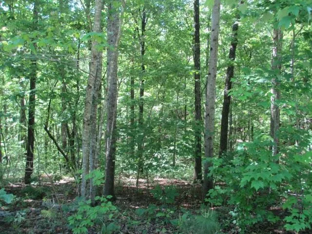 Property image 2 at 000 Indian Trail, Salem, SC 29676