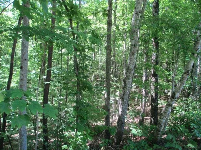 Property image 3 at 000 Indian Trail, Salem, SC 29676
