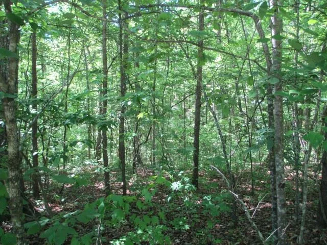 Property image 4 at 000 Indian Trail, Salem, SC 29676