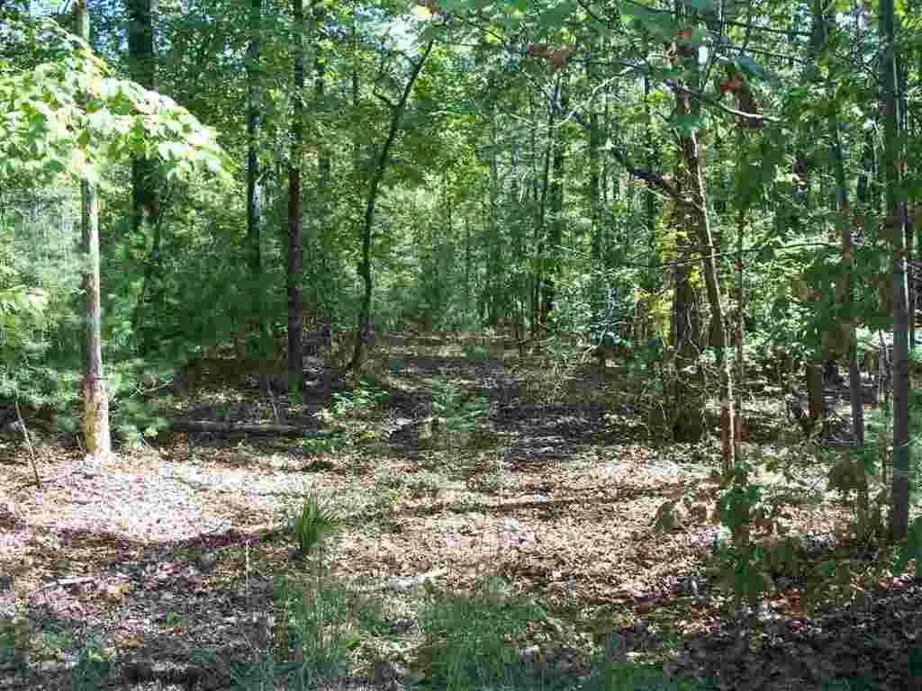 Property image 4 at 118 Holly Hill, Sunset, SC 29685
