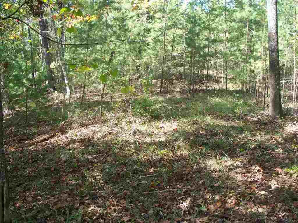 Property image 5 at 118 Holly Hill, Sunset, SC 29685