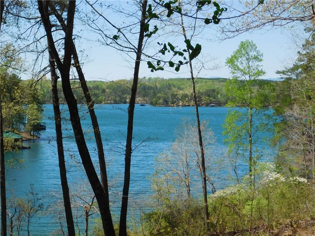 Property image 1 at 141 Bright Water Trail, Six Mile, SC 29682