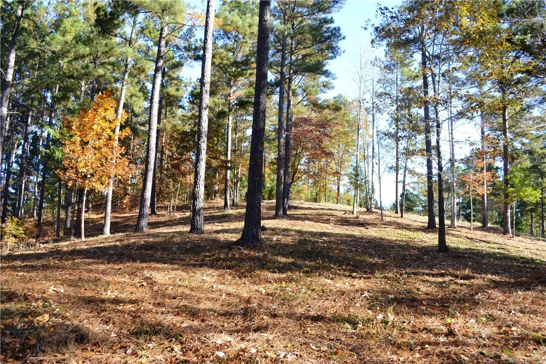 Property image 2 at 141 Bright Water Trail, Six Mile, SC 29682