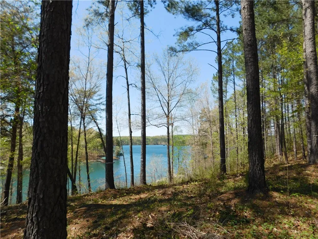 Property image 3 at 141 Bright Water Trail, Six Mile, SC 29682