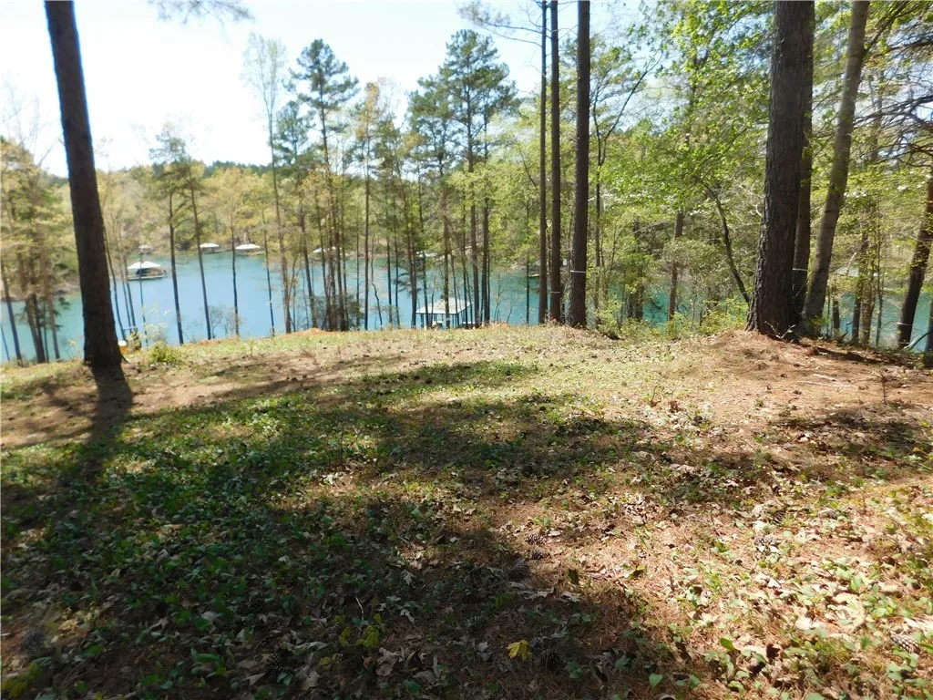 Property image 4 at 141 Bright Water Trail, Six Mile, SC 29682