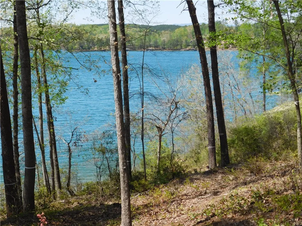 Property image 5 at 141 Bright Water Trail, Six Mile, SC 29682