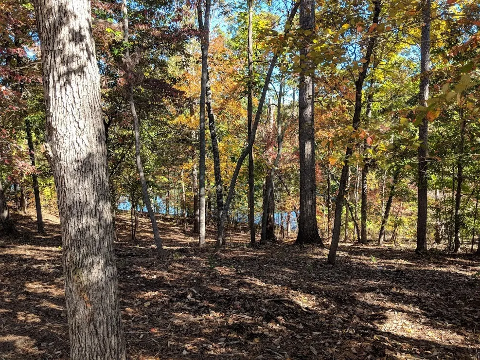 Property image 3 at 802 Clearlake Pointe, Seneca, SC 29672