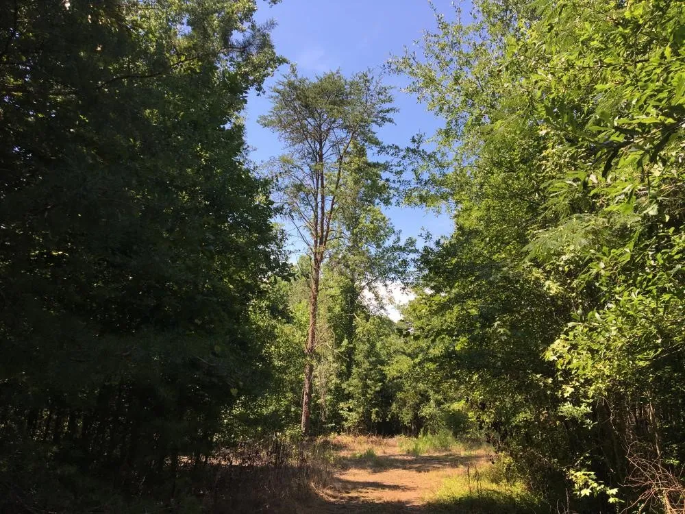 Property image 1 at 0 S Plainview Drive, Greenville, SC 29611